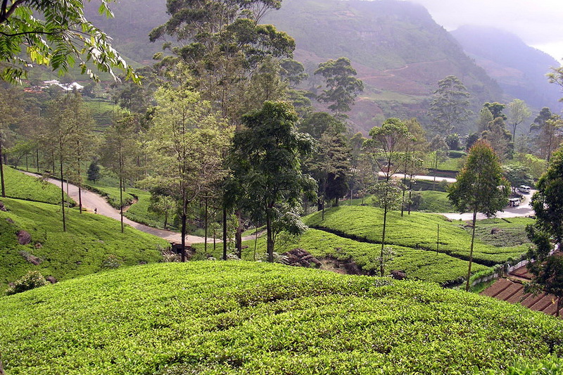 Sri Lanka, Nuwara Eliya